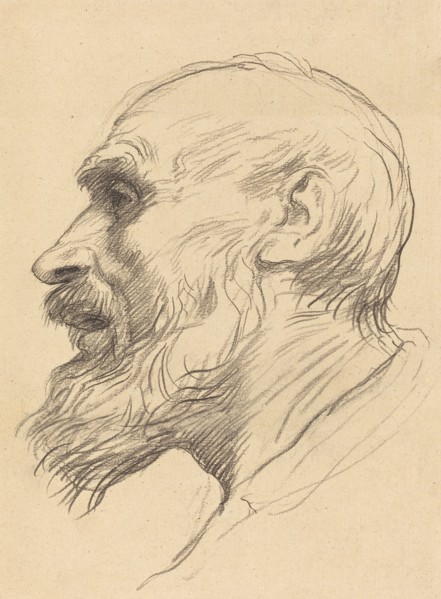 Head of an Old Man.