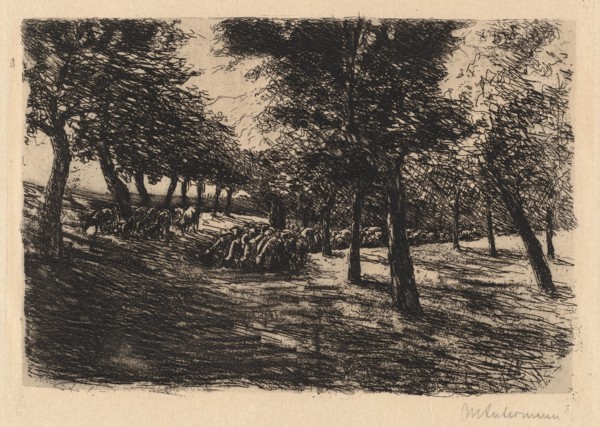 Herd of Sheep Under Trees, 1891.