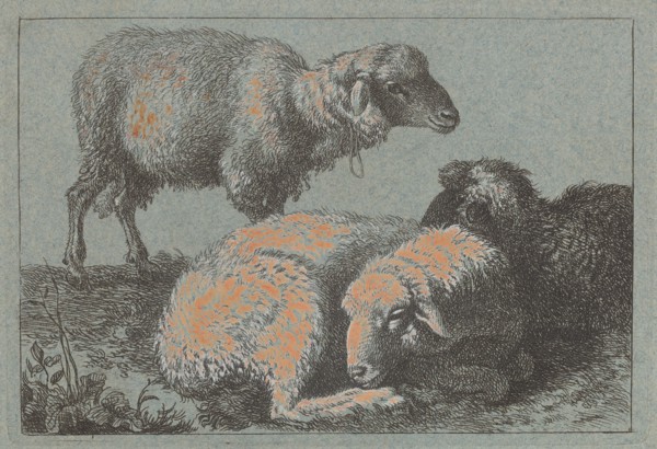 Two Reclining Sheep and One Standing Sheep, 1757/1758.
