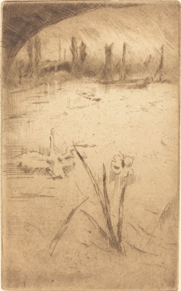 Swan and Iris, published 1883.