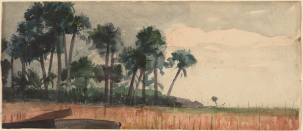 Palm Trees, Red, 1890.