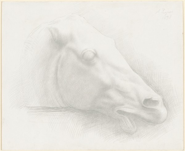 Head of a Horse from the Parthenon, 1898.