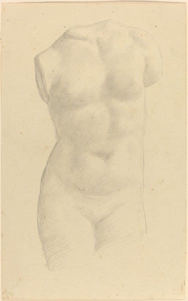 Torso.