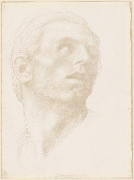 Head of a Man Looking Up to the Right, 1890s?.