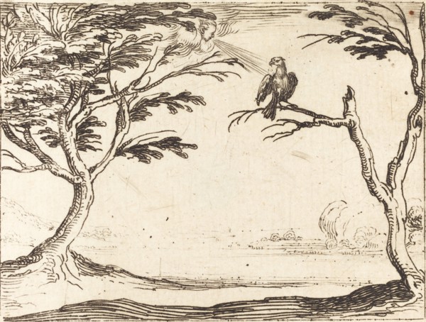 The Vulture.