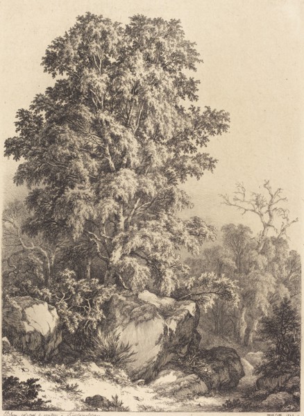 Beech Grove, 1840.