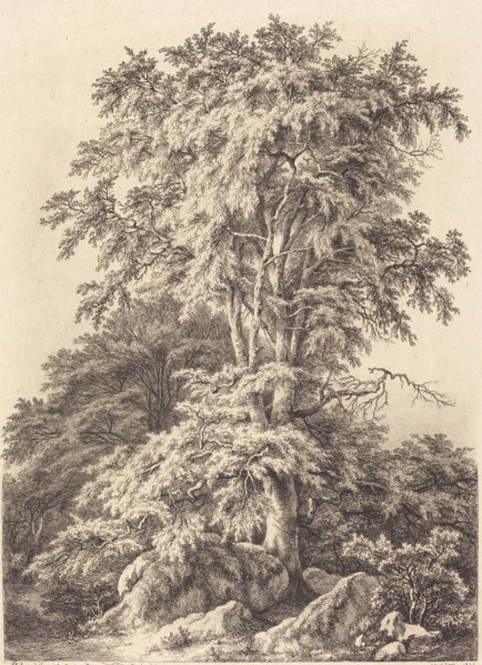 Beech Grove, 1840.