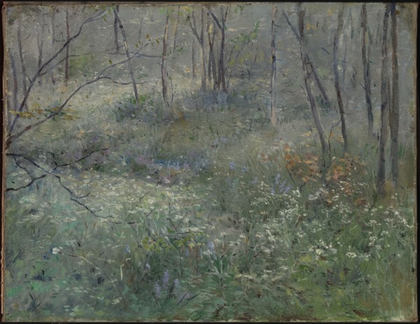 Wild Parsley, 1900.