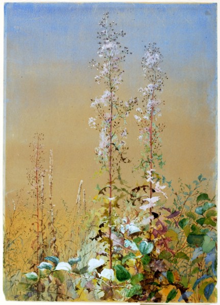 Untitled, ca. 1876.