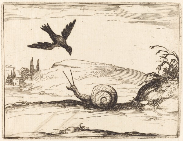 Crow and Snail, 1628.