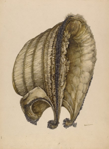 Silk Bonnet, 1935/1942.