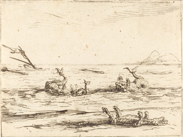 Dolphins and Crocodile.