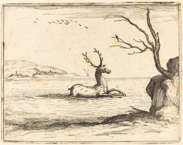 Stag in the Water, 1628.