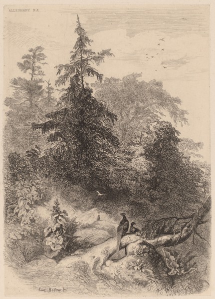 Les Faisans. [Pheasants].