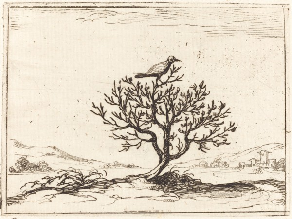 Nightingale in a Bush, 1628.