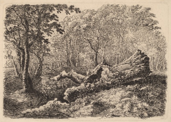 Mouldering Tree Trunk, 1794.