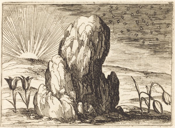 The Tulips and the Sun, 1628.