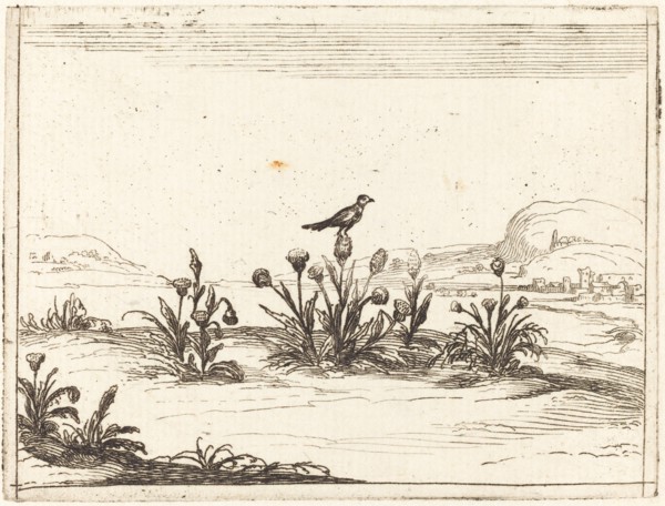 Bird Perched on a Thistle, 1628.