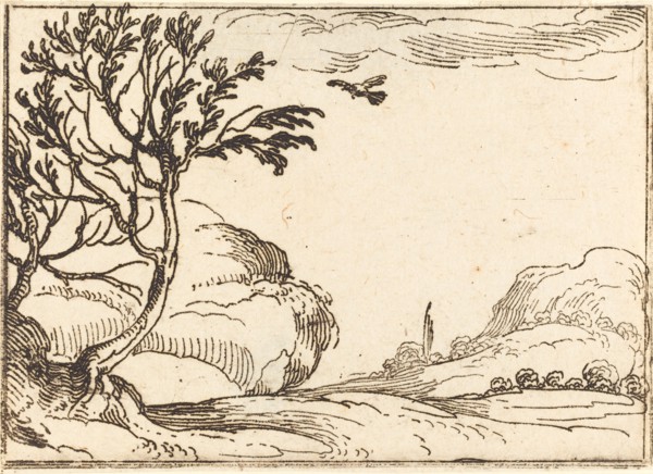 Turtle Dove Flying in the Desert.