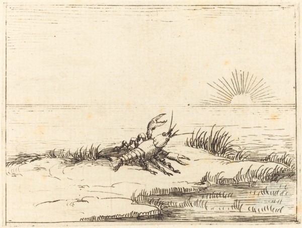 Crayfish Looking at the Sun, 1628.