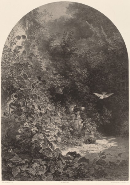 Un Coin de Jardin. [Corner of a garden].