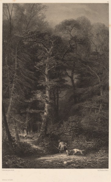 Intérieur de Forêt. [Inside the Forest].