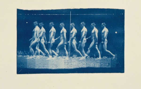 Marey Wheel Photographs of Jesse Godley, 1884.