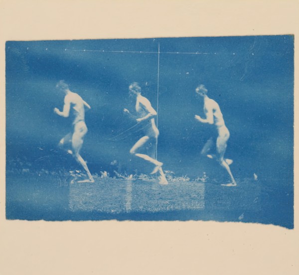 Marey Wheel Photographs of Jesse Godley, 1884.