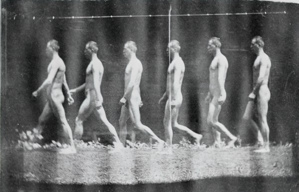 Marey Wheel Photographs of Jesse Godley, 1884.