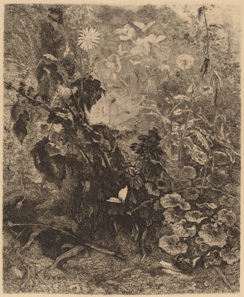 Escargots et papillons. [Snails and butterflies].