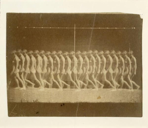 Marey Wheel Photographs of Unidentified Model, 1884.