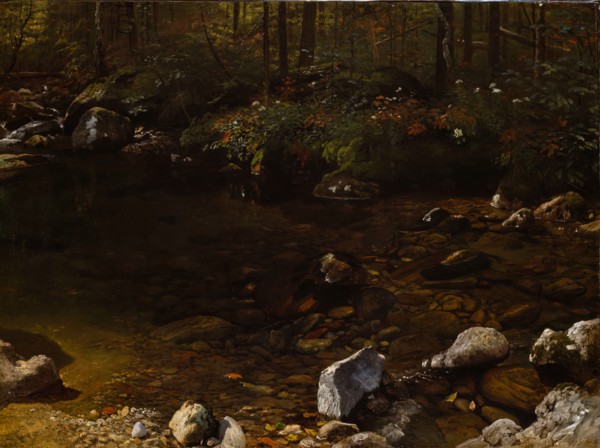 Shady Pool, White Mountains, New Hampshire, c. 1869.