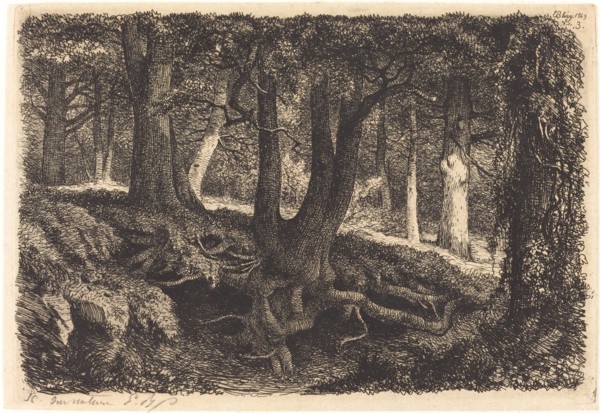 L'arbre aux racines (Tree with Roots), published 1849.
