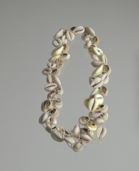 String of cowrie shells, 1800 - 1968. Creator: Unknown.