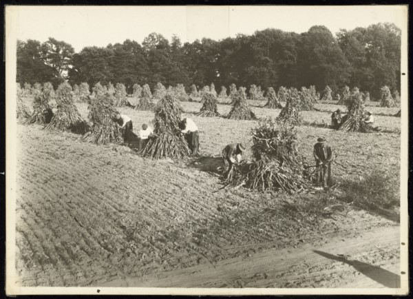 Untitled, ca. 1935. Creator: Lewis Wickes Hine.