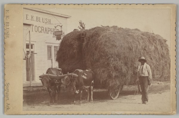 Albumen print of a man with a full hay cart, 1894-1904. Creator: E. K. Blush.