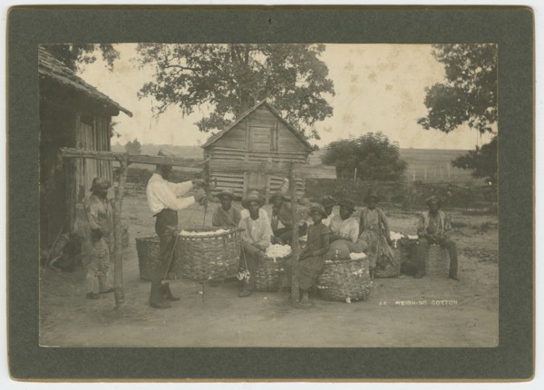 No. 44, Weighing Cotton, ca. 1895. Creator: A. W. Möller.