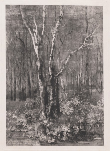Woods in the Park near Monza, 1895. Creator: Mose, Bianchi.