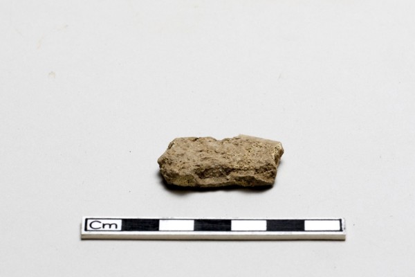 Oracle bone, inscribed, Shang dynasty, ca. 1600 - ca. 1050 BCE. Creator: Unknown.