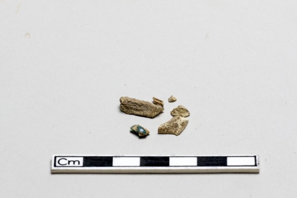 Bone fragments, Shang dynasty, ca. 1600 - ca. 1050 BCE. Creator: Unknown.