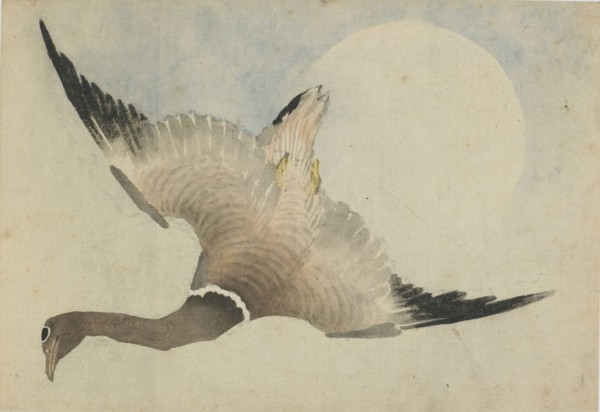 Goose flying in front of the moon, late 18th-early 19th century. Creator: Hokusai.