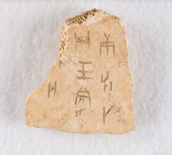 Inscribed bone fragment ("oracle bone"), Late Shang dynasty, ca. 1300-1050 BCE. Creator: Unknown.