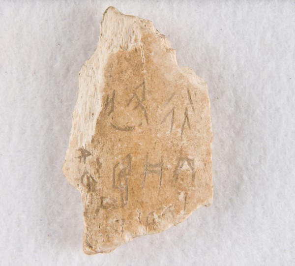 Inscribed bone fragment ("oracle bone"), Late Shang dynasty, ca. 1300-1050 BCE. Creator: Unknown.