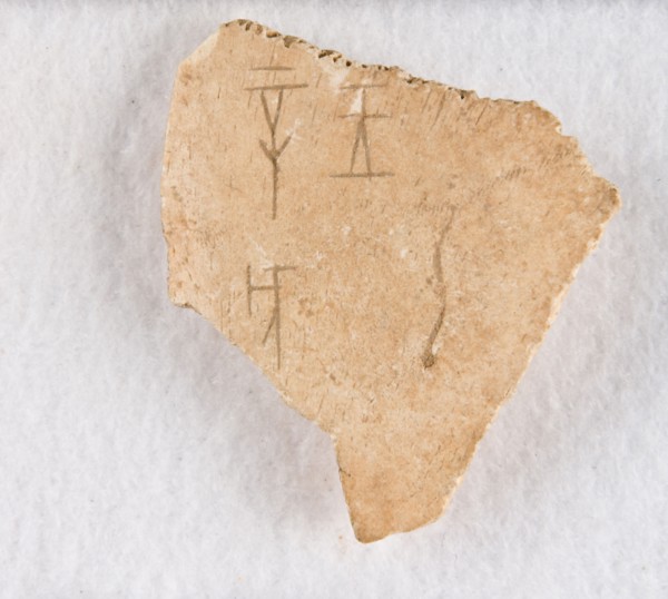 Inscribed bone fragment ("oracle bone"), Late Shang dynasty, ca. 1300-1050 BCE. Creator: Unknown.