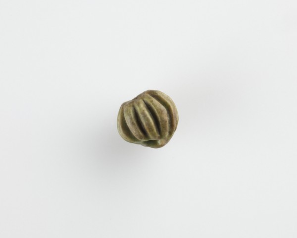 Bead, melon-shaped, New Kingdom, 1550-1196 BCE. Creator: Unknown.