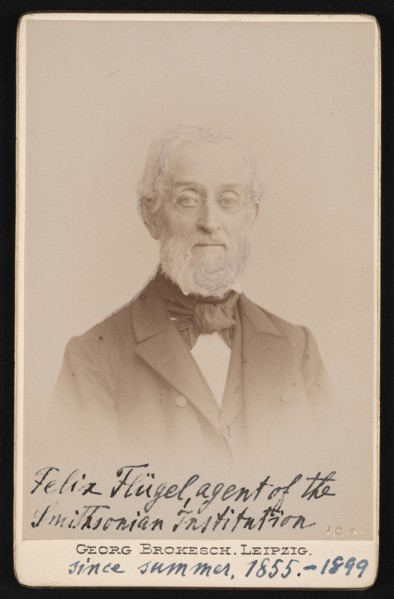 Portrait of Felix Flugel (1820-1904), 1894. Creator: Georg Conrad Adolph Brokesch.