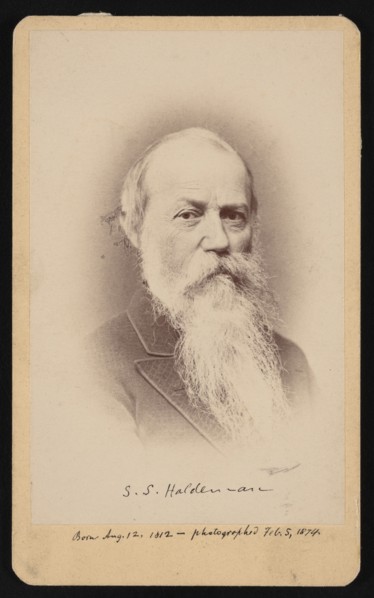 Portrait of Samuel Stehman Haldeman (1812-1880), February 5, 1874. Creator: FA Wenderoth & Co.