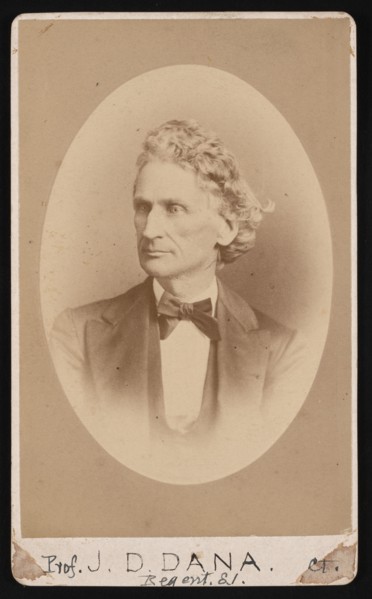Portrait of James Dwight Dana (1813-1895), Before 1891. Creator: William Notman.