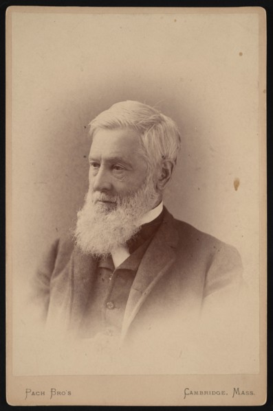 Portrait of Asa Gray (1810-1888), March 1887. Creator: Pach Bros.