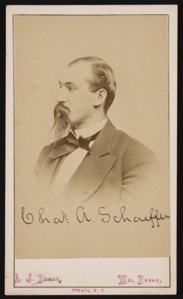 Portrait of Charles Ashmead Schaeffer (1843-1898), 1870s. Creator: Purdy & Frear.
